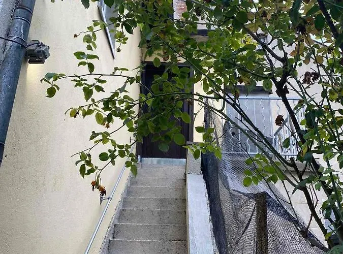 Daire апартмент 27 юли 2